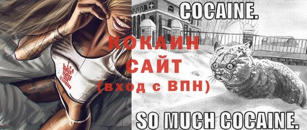 хмурый Сосновый Бор