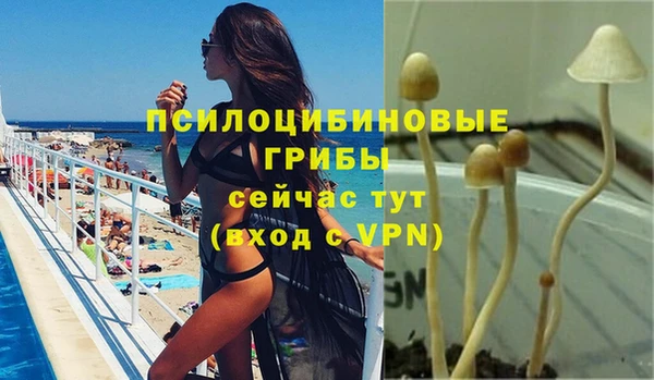 не бодяженный Белокуриха