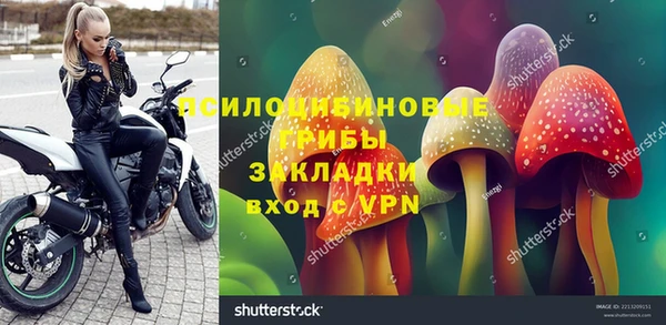 не бодяженный Белокуриха