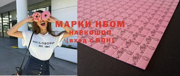 хмурый Сосновый Бор