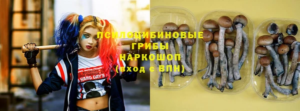 крисы Беломорск