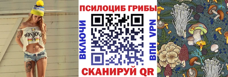 купить наркотики цена  Волчанск  Псилоцибиновые грибы ЛСД 